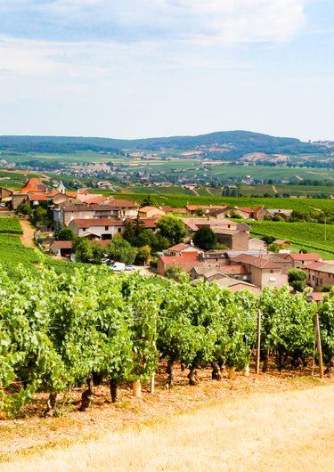 Découverte de village : Fuissé, une passion des hommes pour la vigne