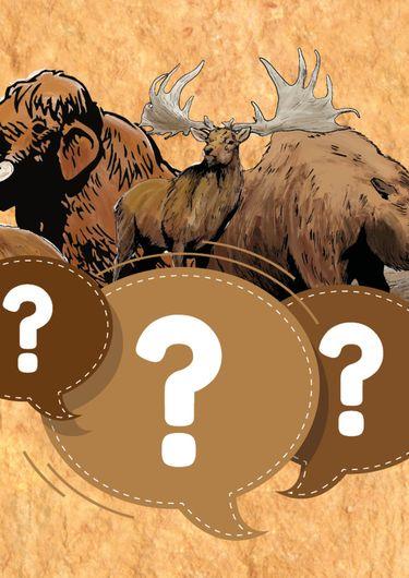 Les animaux préhistoriques : visite à toucher