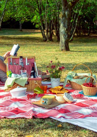 Fantastic Picnic  "Cueillir l'instant"