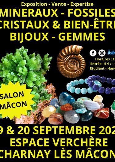 2ème Salon Minéraux Fossiles Cristaux & Bien-Être Gemmes et Bijoux + Exposition sur la Préhistoire